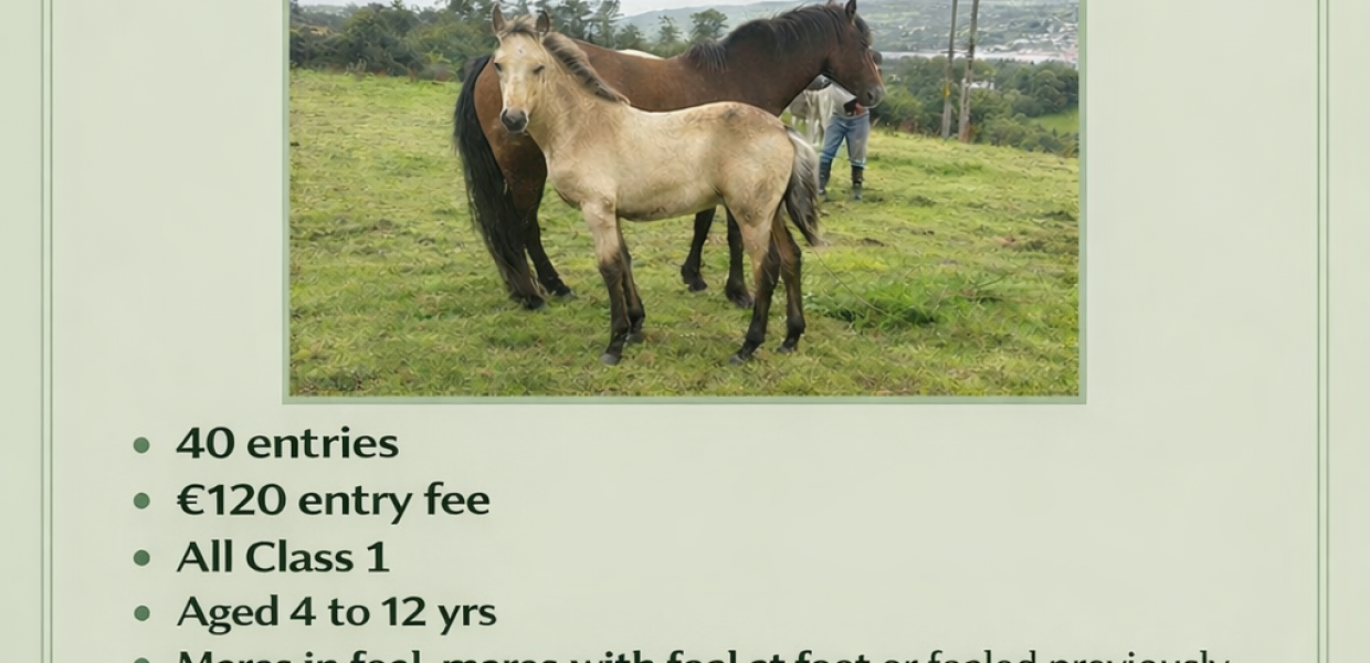 ChatGPT Image Feb 27, 2026, 06_26_35 PM