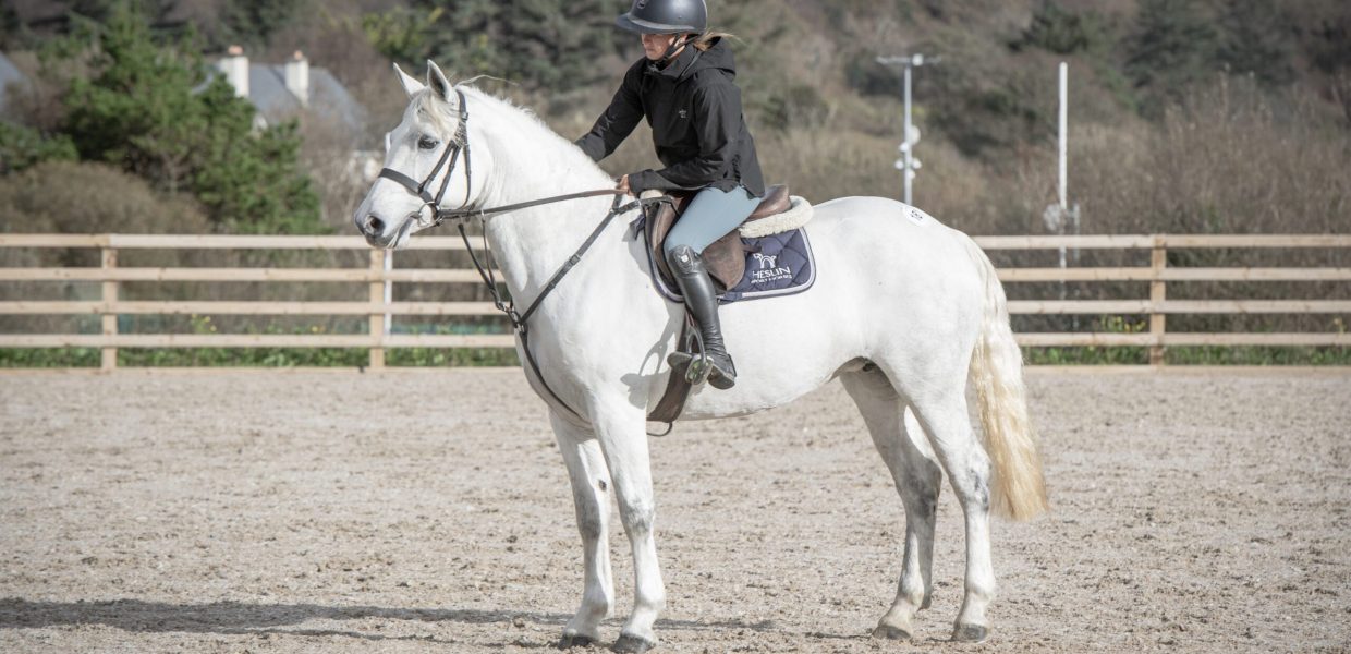 Lot 181 King Bunowen Castle Swifty Lady (Thorgal De L'Aubier x Bunowen Castle Ellie) I/2 sister to the HOYS 2025 Ridden Connemara winner makes one of the top prices for a full bred Connemara on Thursday making 8,200,