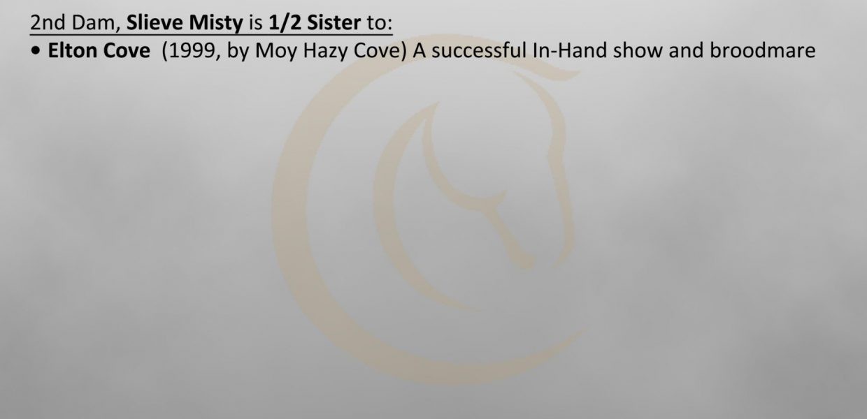 Lot 118 Lough Melvin Misty