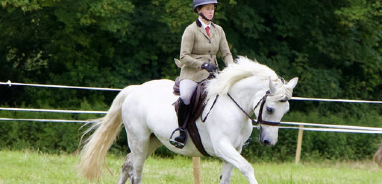 Lot 181 KBC Swifty Lady