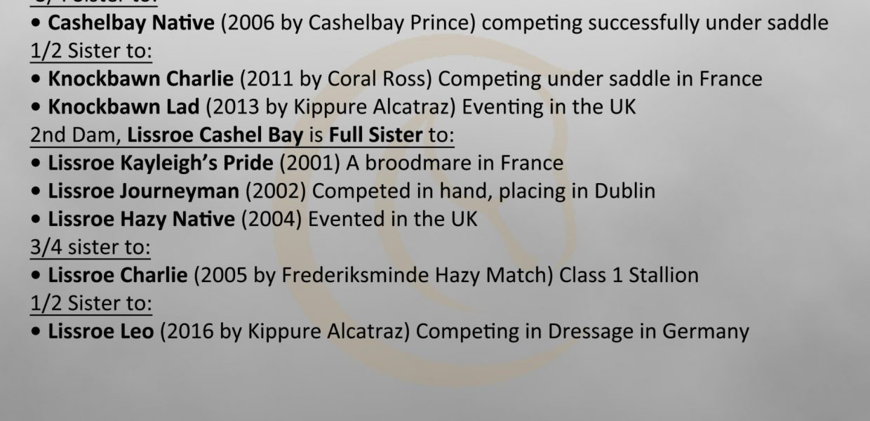 Lot 263 Sligo Delight