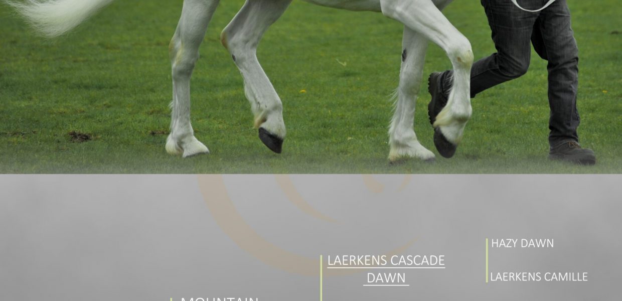 Lot 350 Doire Mhianaigh Cascade_2