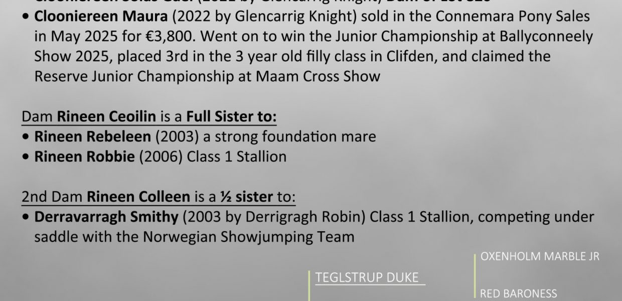 Lot 819 Clooniereen Timber