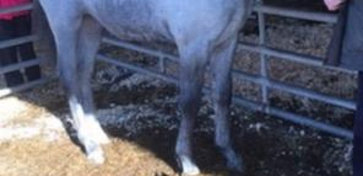 PHOTO-2026-04-21-12-36-07 (1)