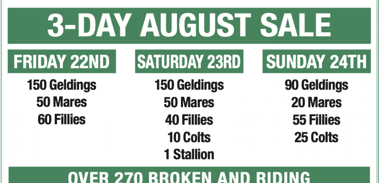 Screenshot 2025-08-09 at 12.33.48