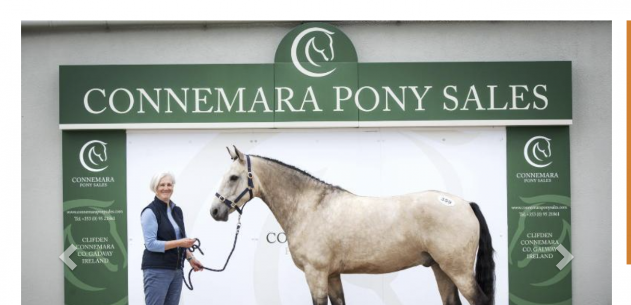 Screenshot 2025-08-30 at 09.59.11