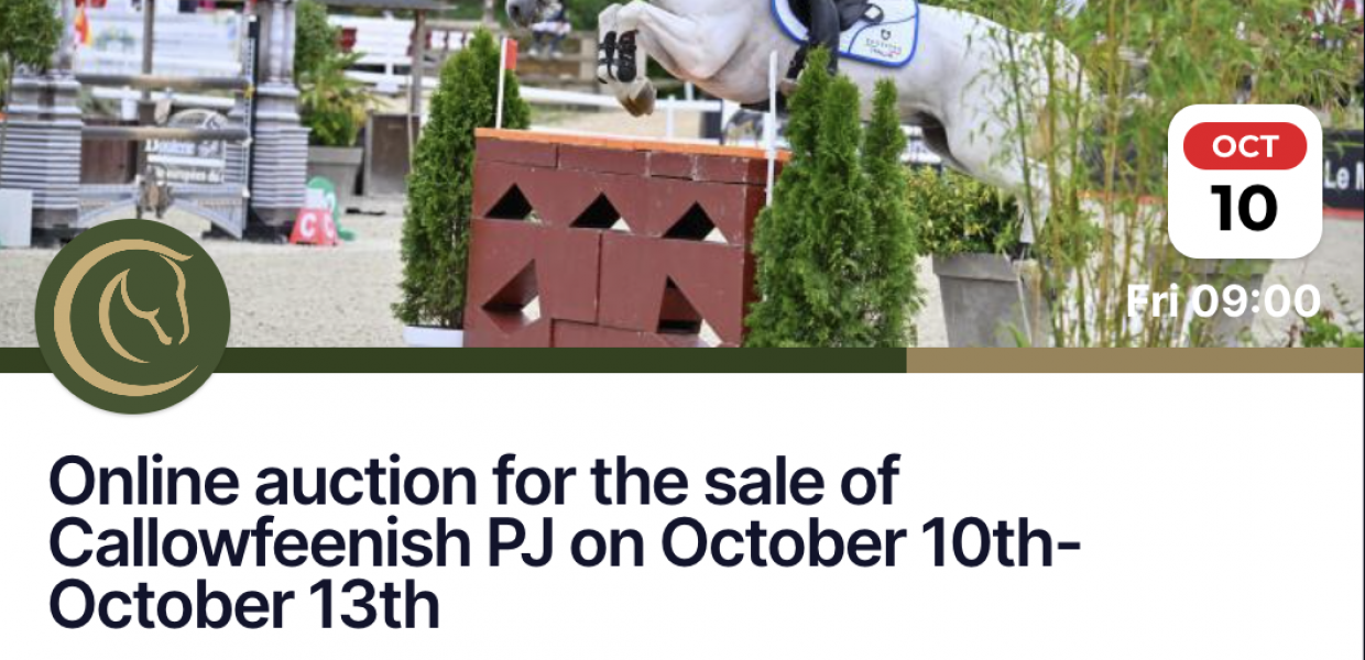 Screenshot 2025-09-23 at 21.33.10