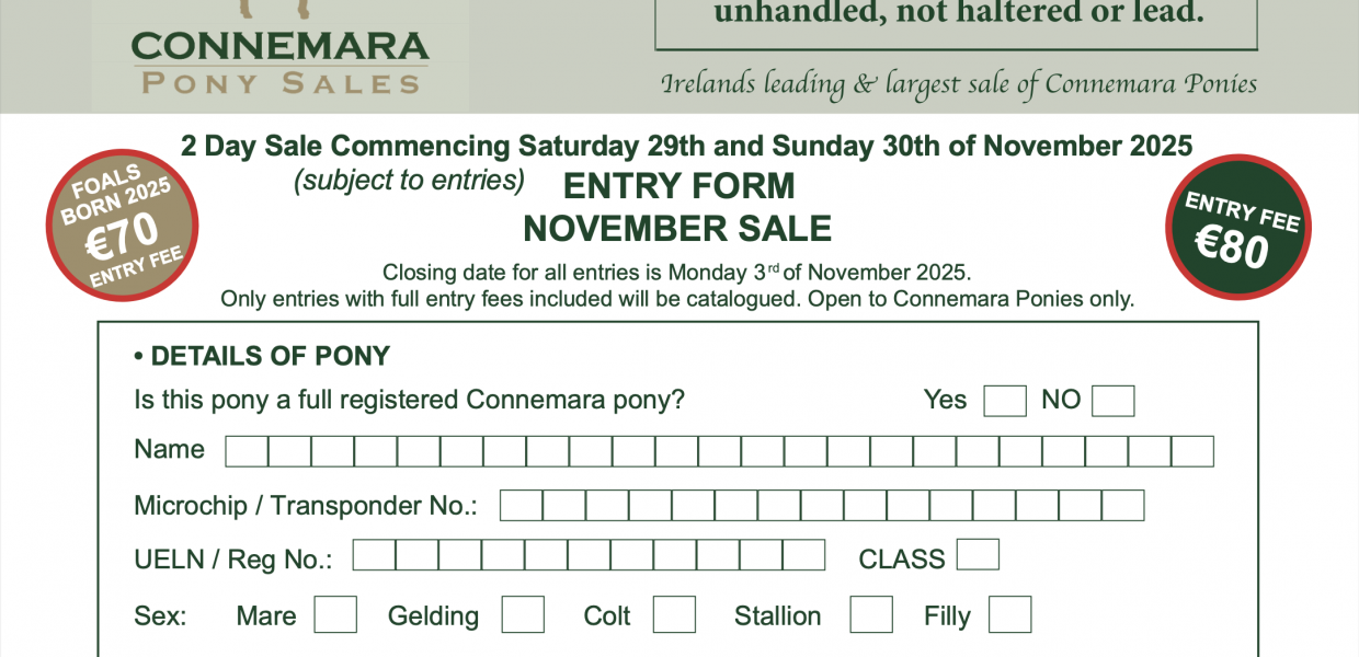 Screenshot 2025-09-29 at 21.14.59