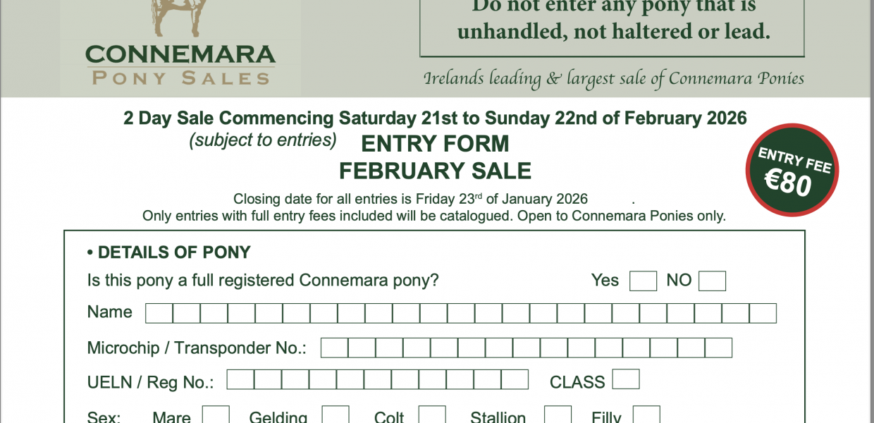 Screenshot 2025-11-26 at 20.41.27