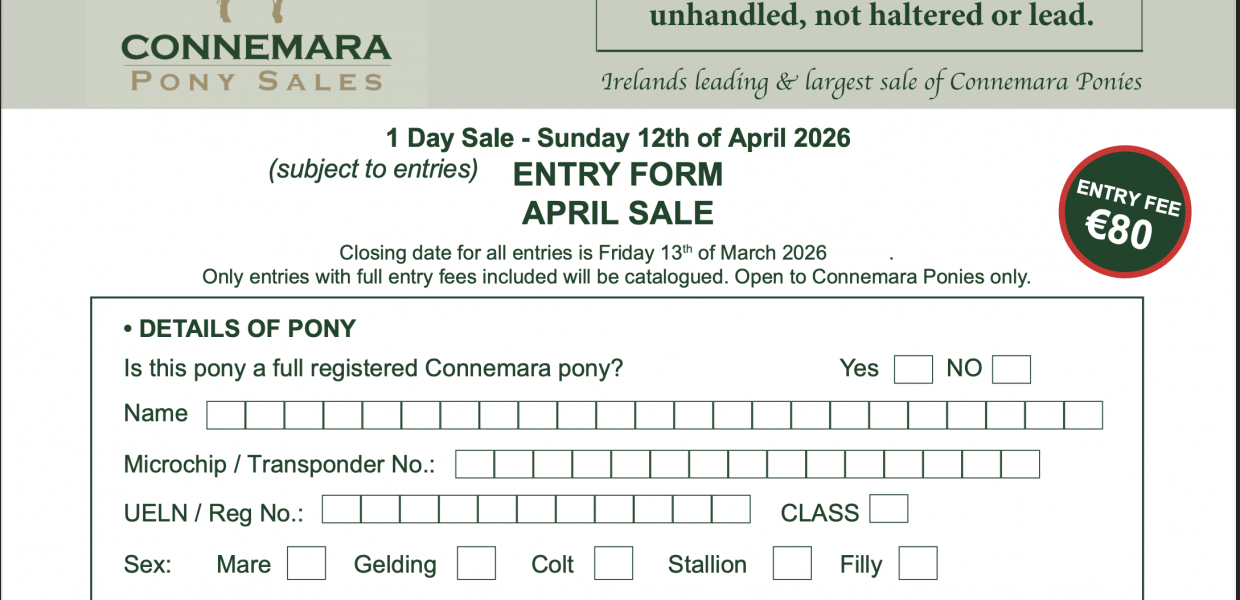 Screenshot 2026-02-03 at 21.18.26