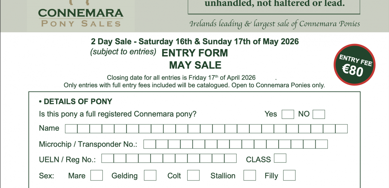 Screenshot 2026-03-18 at 20.48.24