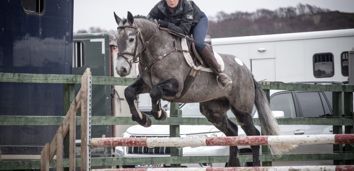 Swanview Silver Dollar 2025