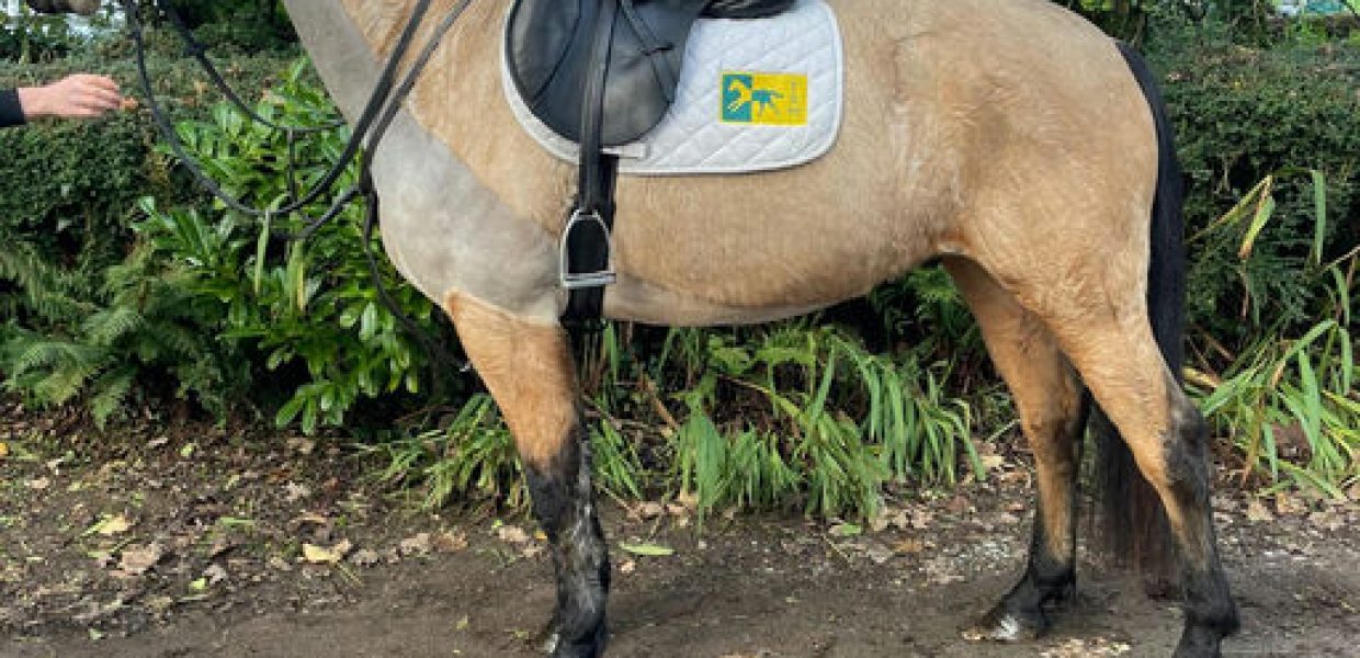 xw9RhH7e8st_9tRvUGfciCd_DlaVdeRg35p_Rr9mVsY